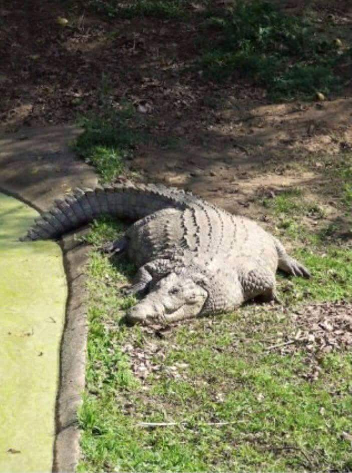 맨손으로 싸우면 진다 vs 이긴다 | 인스티즈