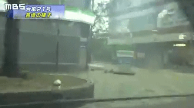 25년만에 강한 태풍인 제비의 엄청난 위력 | 인스티즈