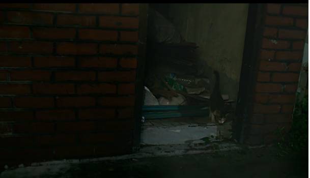 [감자별] 1화 진아의 고군분투 3 (完) | 인스티즈