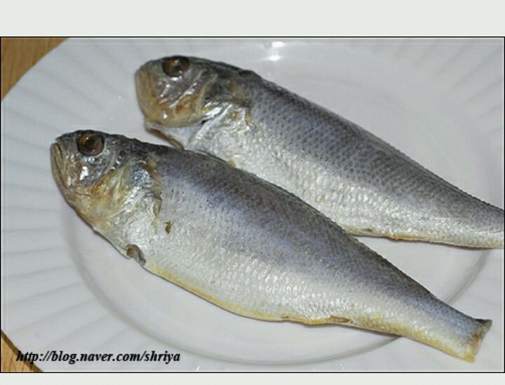 생선이 잠을자면? | 인스티즈