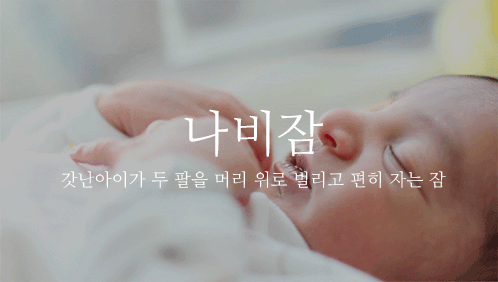 ))예쁜 단어들.jpg | 인스티즈