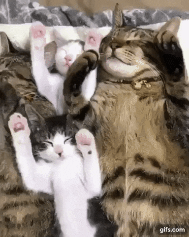 우리는 한 가족입니다 | 인스티즈