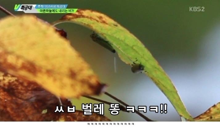 VJ특공대 레전설.JPG | 인스티즈