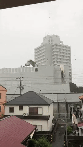 일본 상륙한 태풍 제비의 위력 | 인스티즈