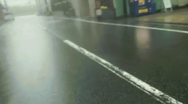 일본 제비 상륙 상황 | 인스티즈