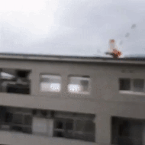 일본 상륙한 태풍 제비의 위력 | 인스티즈