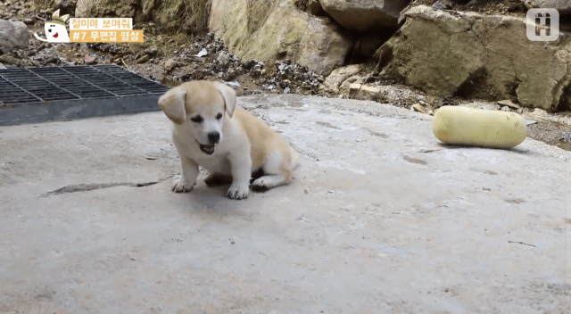 4 - 짱절미 무편집 영상.gif | 인스티즈