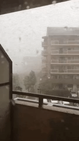 일본 상륙한 태풍 제비의 위력 | 인스티즈