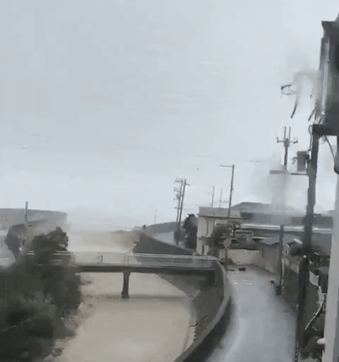 일본 상륙한 태풍 제비의 위력 | 인스티즈