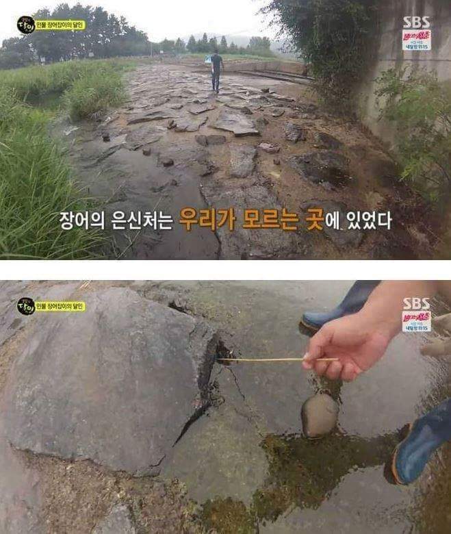 자연산 장어의 위엄 | 인스티즈