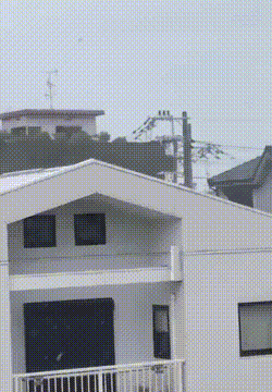 일본 제비 상륙 상황 | 인스티즈