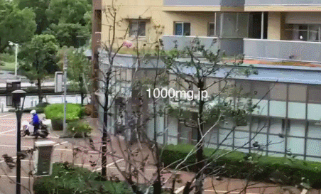 태풍에도 배달하는 배달부 아조씨 | 인스티즈