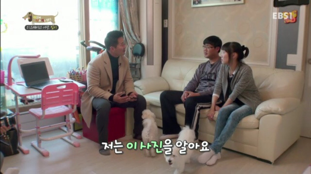 교배 업체에 보낸 후 사나워진 강아지 릴리 | 인스티즈