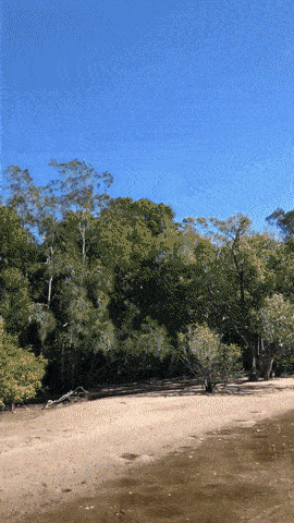 자연으로 돌아가렴.gif | 인스티즈