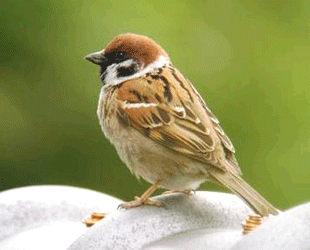 도서관에서 볼 수 있는 사람들 유형 | 인스티즈