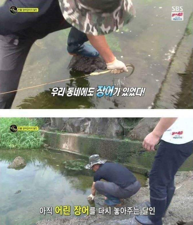 자연산 장어의 위엄 | 인스티즈