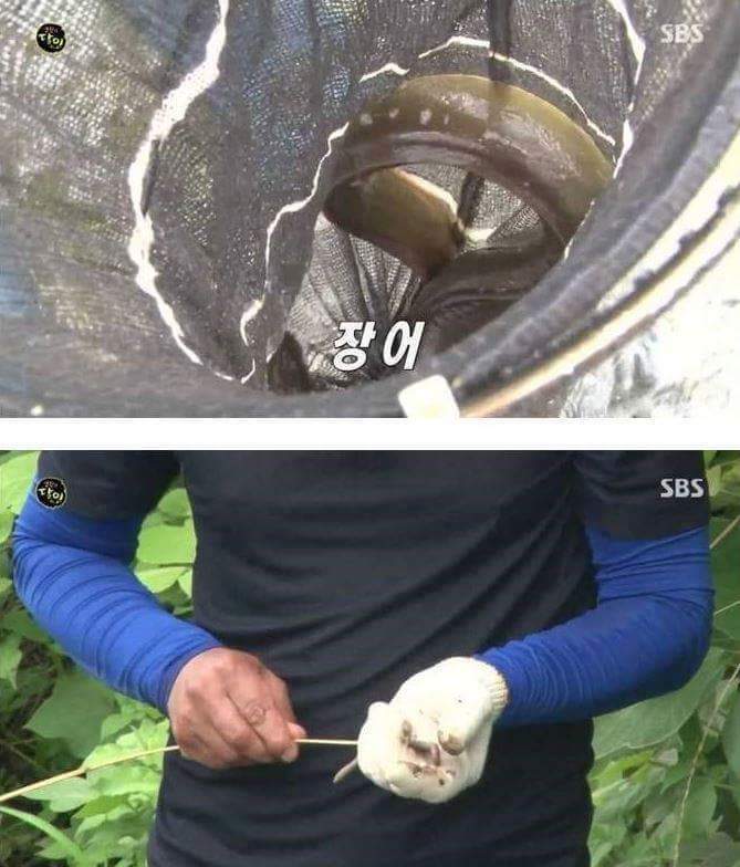 자연산 장어의 위엄 | 인스티즈