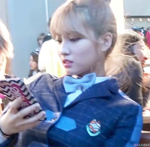 너구리를 보았습니다 feat. 모모 | 인스티즈