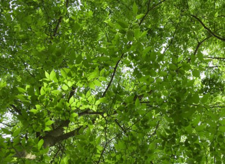 깊은 인상을 남기는 문학작품들의 첫문장 | 인스티즈