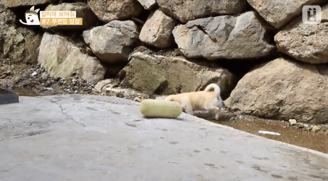 4 - 짱절미 무편집 영상.gif | 인스티즈