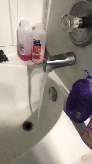 물 소리에 반응하는 댕댕이 | 인스티즈