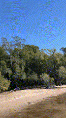 다시 자연으로 돌아가렴 | 인스티즈