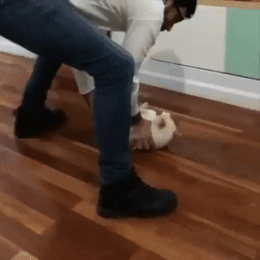 집사야 또 해주라냥 | 인스티즈