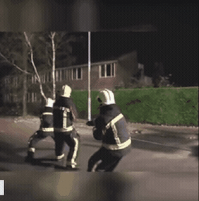 소방관 도와주는 댕댕이 | 인스티즈