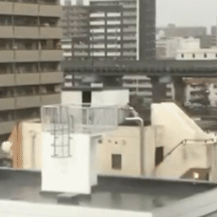 태풍 속에서 처절하게 살아남으려는 일본인..gif | 인스티즈