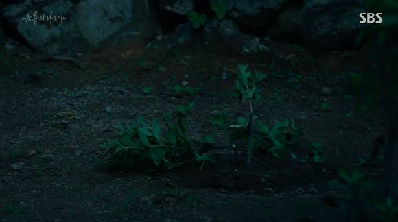 [육룡이나르샤] 극초반부터 시청자들을 멘붕에 빠뜨린 주인공의 아역시절 | 인스티즈