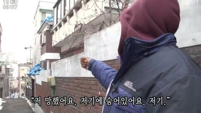 개를 무서워하는 콩고동생 | 인스티즈