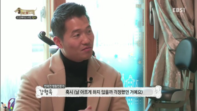 교배 업체에 보낸 후 사나워진 강아지 릴리 | 인스티즈