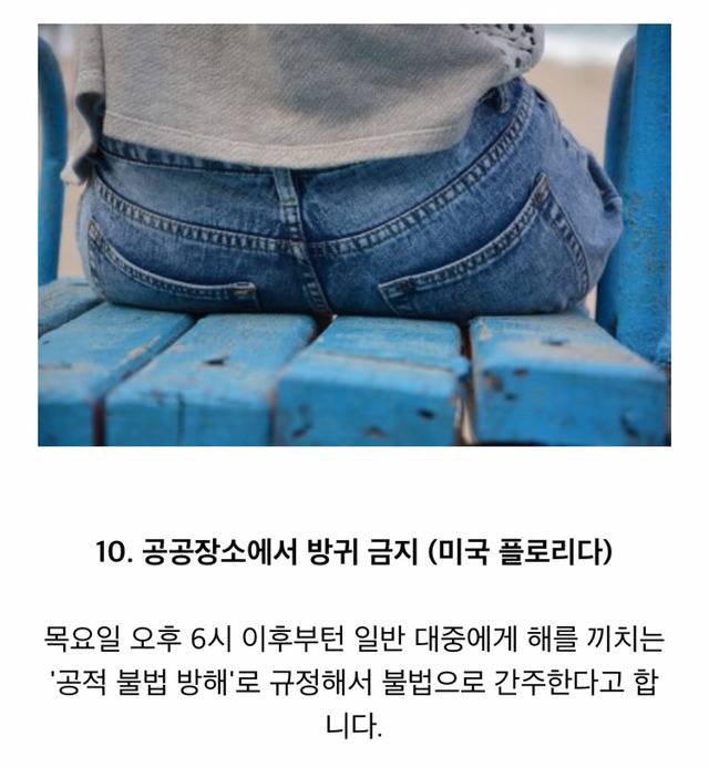 실제로 있는 각 나라의 금지법 | 인스티즈