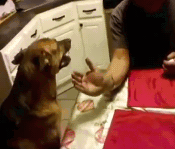 주인과의 팔씨름 | 인스티즈