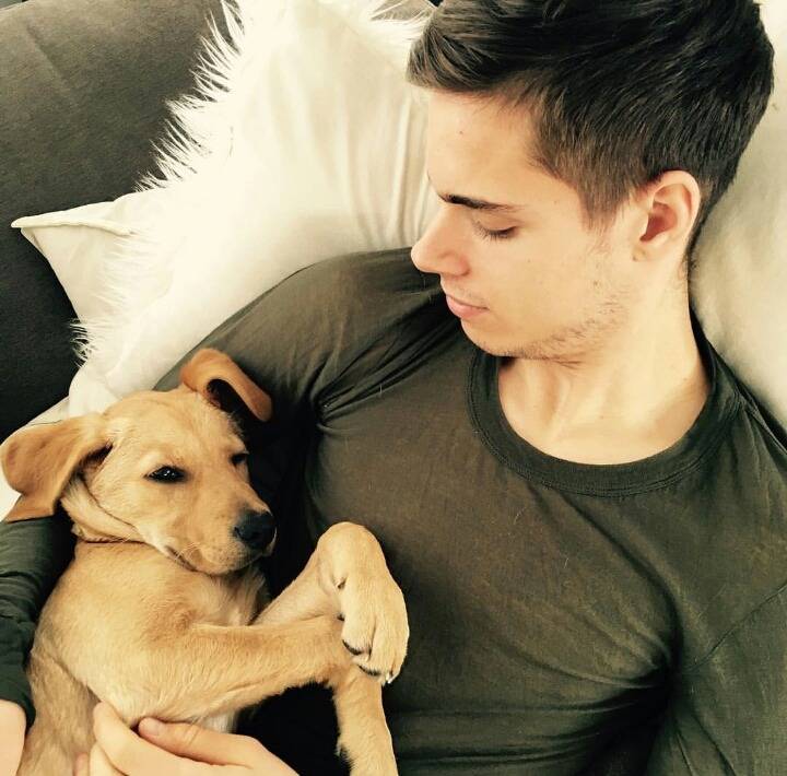 율리안 바이글의 애완견 | 인스티즈