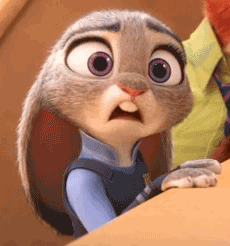 주토피아 보고나면 짱덕된다는 동물.gif | 인스티즈