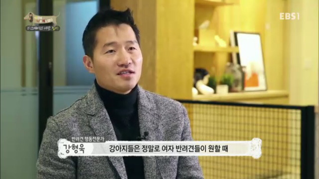 교배 업체에 보낸 후 사나워진 강아지 릴리 | 인스티즈