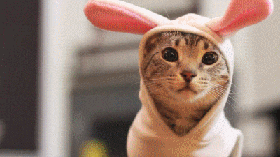 2017 마지막날엔 역시 | 인스티즈