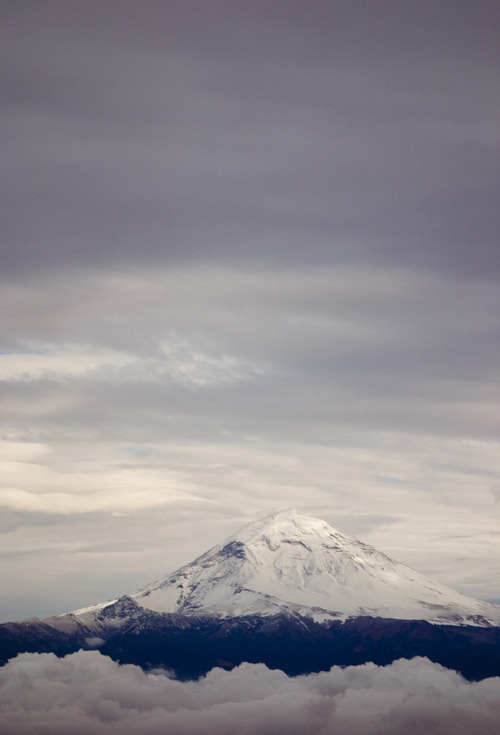  지친 당신을 위로 해주는 사진 | 인스티즈