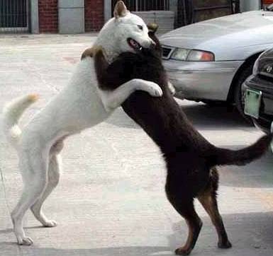 대전사람들 공감.jpg | 인스티즈