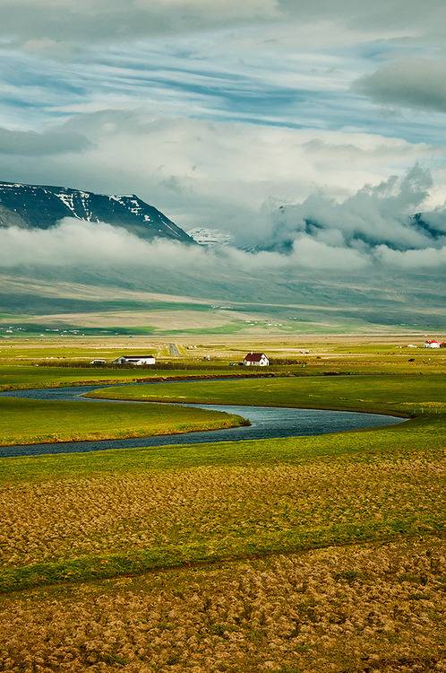  지친 당신을 위로 해주는 사진 | 인스티즈