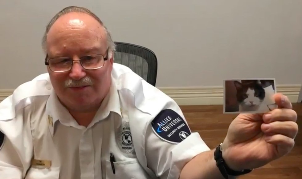 양로원에서 일하는 고양이 | 인스티즈