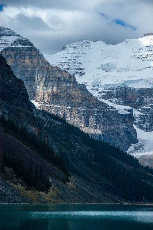  지친 당신을 위로 해주는 사진 | 인스티즈