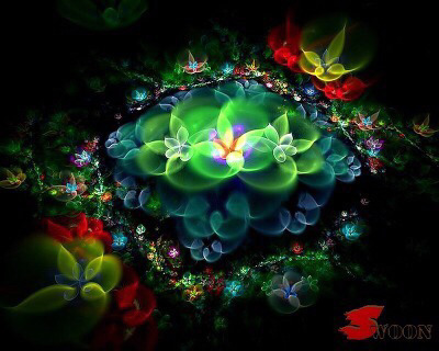 선인장 꽃 | 인스티즈