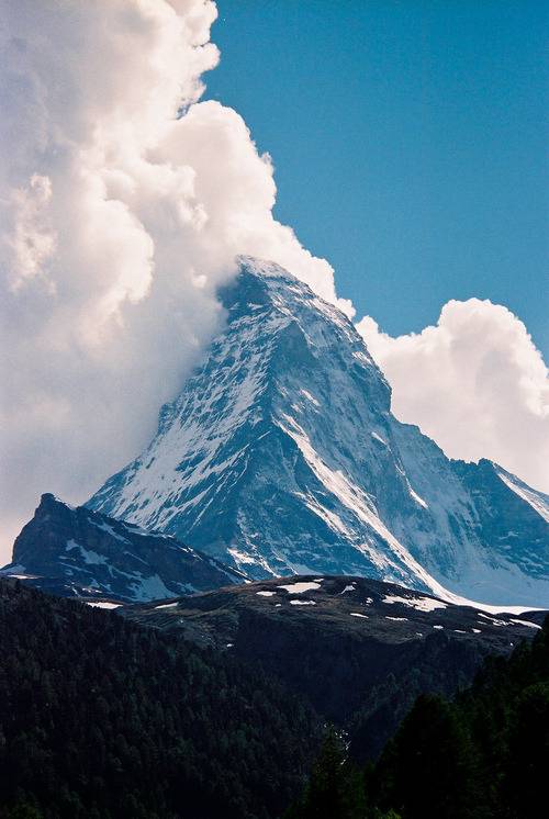  지친 당신을 위로 해주는 사진 | 인스티즈