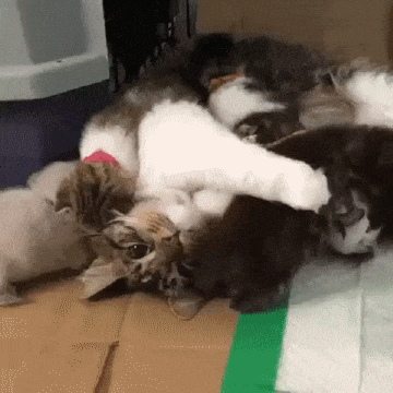 2017 마지막날엔 역시 | 인스티즈