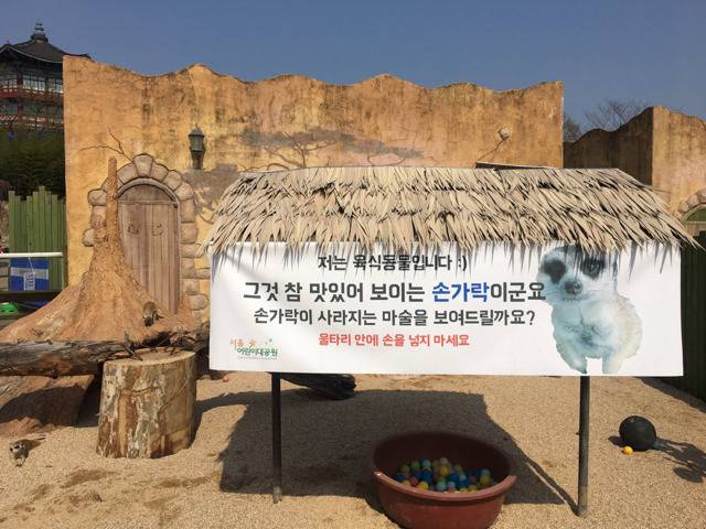 사라지는 마술을 보여주는 어린이 대공원 | 인스티즈