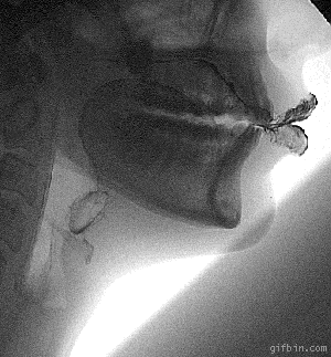 신기한 장면들.jpgif | 인스티즈