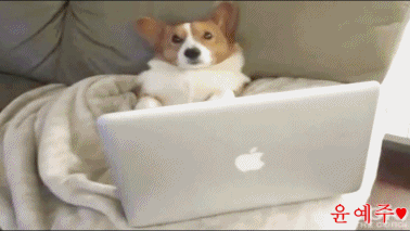 발렌타인데이가 또; gif | 인스티즈