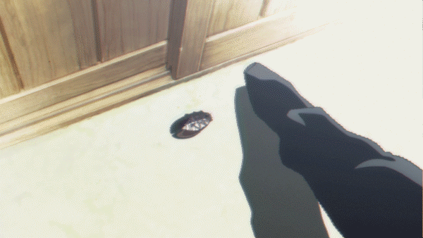 벌레 살아있는지 확인하는법 | 인스티즈